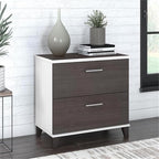 Pemberly Row Wood 2 Drawer Lateral File Cabinet in White and Storm Gray