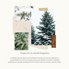 Thymes Frasier Fir Candle - Heritage Pine Needle Luminary Scented Candles - Elegant Pine Candle - Crisp Siberian Fir, Cedarwood & Sandalwood - Holiday Candles - Christmas Decor (Large, 16 oz)