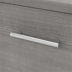 Pemberly Row 2 Drawer Lateral File Cabinet in Platinum Gray - Engineered Wood