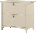 Bush Furniture Salinas 2 Drawer Lateral File Cabinet in Antique White, Home Office Storage Solution, Organizer with Drawers for Workspace, Filing Unit