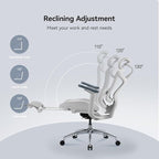 SIHOO Doro C300 Ergonomic Office Chair with Footrest, Ultra Soft 3D Armrests, Dynamic Lumbar Support for Home Office Chair, Adjustable Backrest Desk Chair, Swivel Big and Tall Computer Chair (Grey)