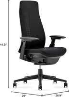 Haworth Fern Office Chair – Ergonomic and Stylish Desk Chair with Breathable Mesh Finish - Without Lumbar Support (Coal)