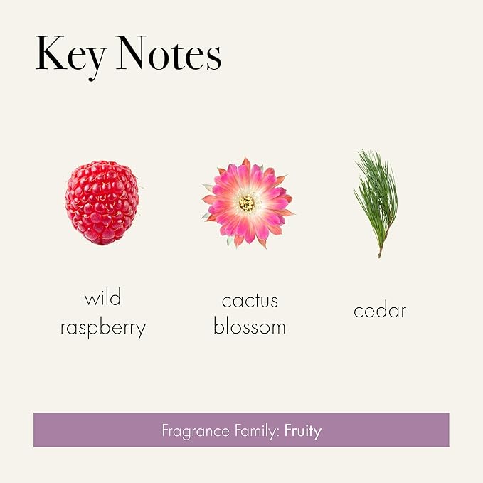 LAFCO New York Signature Candle, Midnight Cactus - 15.5 oz - 90-Hour Burn Time - Reusable, Hand Blown Glass Vessel - Made in The USA