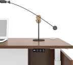 Adjustable Height Executive Standing Desk - Dual Motor Electric Sit-Stand Workstation with 4 Memory Handsetctric Sit-Stand Desk with Lockable Storage