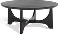 SAFAVIEH Couture Collection Sasha Contemporary Black Round Coffee Table