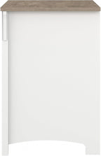 Bush Furniture Salinas 2 Drawer Lateral File Cabinet in Shiplap Gray and Pure White, Home Office Storage Solution, Organizer with Drawers for Workspace, Filing Unit