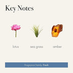 LAFCO New York Classic Candle, Sea & Dune - 6.5 oz - 50-Hour Burn Time - Reusable, Hand Blown Glass Vessel - Made in The USA