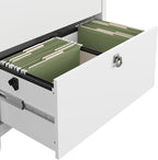 Bush Furniture Salinas 2 Drawer Lateral File Cabinet in Shiplap Gray and Pure White, Home Office Storage Solution, Organizer with Drawers for Workspace, Filing Unit