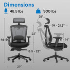Autonomous ErgoChair Pro Ergonomic Office Chair Mesh Black Adjustable Lumbar Support, Rolling Swivel - Home office Desk Chairs with Wheels and Arms - Ergonomic Desk Chair Comfy for Gaming & Long Hours
