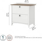 Bush Furniture Salinas 2 Drawer Lateral File Cabinet in Shiplap Gray and Pure White, Home Office Storage Solution, Organizer with Drawers for Workspace, Filing Unit