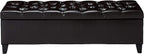 Christopher Knight Home Ottilie Leather Storage Ottoman, Brown