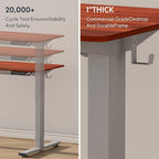 FLEXISPOT EN1 Whole-Piece Standing Desk, 48 x 30 Inches Electric Adjustable Desk for Home Office (Silver Frame + 48 in Mahogany Top, 2 Packages)