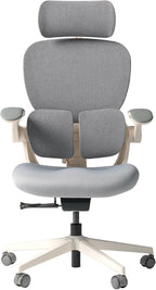 HINOMI Q2 Ergonomic Office Chair with Lumbar Support & Adjustable Headrest, Cushion Seat with Flip-Up Arms, Reclining Computer Seating with Footrest, Stylish Desk Model for Home (Gray)