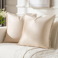 FUTEI Beige Velvet Decorative Throw Pillow Covers 24x24 Set of 2,Soft Cozy Edge with Tassels European Cushion Case,Boho Modern Home Decor for Couch Bed Living Room