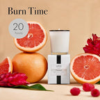 LAFCO New York Votive Candle, Champagne - 1.9 oz - 20-Hour Burn Time - Reusable Glass Vessel - Made in The USA