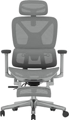 FLEXISPOT ErgoX Premium Ergonomic Office Chair with Footrest- Adjustable 3D Armrests, Dynamic Lumbar Support, Recline & Tilt Function, Mesh Seat, for Home & Office Use,Light Grey