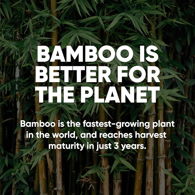 Save Trees Bamboo Facial Tissues - 12 Boxes of Eco-Friendly, 3-Ply Hypoallergenic Tissues, 90 Sheets per Box, FSC Certified, Plastic-Free Packaging, Soft & Gentle for Home Use