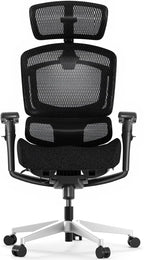 FLEXISPOT ErgoX-PRO Ergonomic Office Chair Black – Cloudtech Cushion, 5D Lumbar, 7D Armrests, 4D Headrest, 551LBS Capacity – Office, Gaming, Home