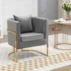 Velvet Modern Accent Chairs Set of 2, Upholstered Barrel Armchair Mid Century with Pillow for Living Room, Comfy Single Vanity Chair with Metal Gold Legs for Bedroom, Grey