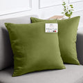 lalaLOOM Velvet Throw Pillow Covers, Set of 2, 20x20 Decorative Square Pillows Home Decor, Soft Accent Cases, Silky Machine Washable Pillowcases for Sofa, Couch, Bedroom, Living Room, Moss Green
