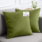 lalaLOOM Velvet Throw Pillow Covers, Set of 2, 20x20 Decorative Square Pillows Home Decor, Soft Accent Cases, Silky Machine Washable Pillowcases for Sofa, Couch, Bedroom, Living Room, Moss Green