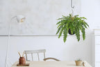 Hollyone Artificial Fern Hanging Basket Plant 25" Boston Ferns 31 Leaves Greenery Plants with Rattan Pot for Outdoors & Indoor Fake Fern Bush Plant in Pot for Patio Entrance Porch Garden Decor Green