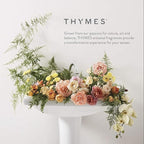 Thymes Petite Reed Diffuser - 4 Fl Oz - Mandarin Coriander