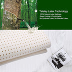 10 Inch Full Size Latex Mattress in a Box, Hybrid Natural Organic Mattress Medium Firm Feel Memory Foam and Individual Pocket Springs, CertiPUR-US, 120-Night Free Trial, 20-Year Warranty