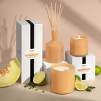 LAFCO New York Signature Candle, Paloma Melon - 15.5 oz - 90-Hour Burn Time - Reusable, Hand Blown Glass Vessel - Made in The USA