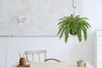 Hollyone 21" Artificial Boston Fern Hanging Basket 31 Leaves Fake Ferns in Rattan Pot Medium Greenery Plants for Outdoors & Indoor Faux Fern Bush Basket Plant Patio Garden Home Decor Green