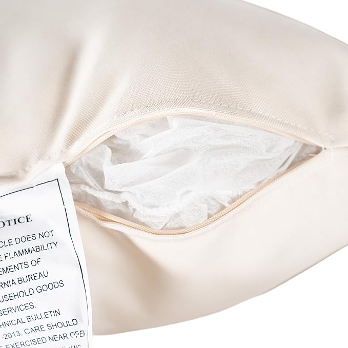 Christopher Knight Home Lucid Set of 2 Outdoor Dining Chair, Acacia Wood Frame Dining Chairs, Accent Chair Set with Comfortable Cushions, Patio Armchair for Backyard Poolside Garden, Natural + Beige