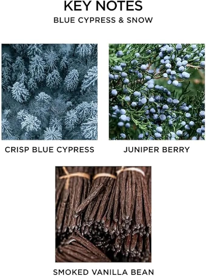 NEST New York Scented Classic Candle, Blue Cypress & Snow - 8.1 oz - Up to 60-Hour Burn Time - Reusable Glass Vessel