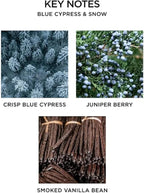 NEST New York Scented Classic Candle, Blue Cypress & Snow - 8.1 oz - Up to 60-Hour Burn Time - Reusable Glass Vessel