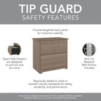 Bush Furniture Cabot 2 Drawer Lateral File Cabinet in Ash Gray, Home Office Chest for Letter, Legal, and A4-size Document Storage
