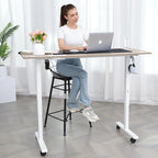 farexon 48 x 24 inch Standing Desk Electric Adjustable Height with Charging Station, Stand up Desk with Ergonomic Workstation, 4 Preset Heights Easy to Set（Oak Grey