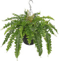 Hollyone 21" Artificial Boston Fern Hanging Basket 31 Leaves Fake Ferns in Rattan Pot Medium Greenery Plants for Outdoors & Indoor Faux Fern Bush Basket Plant Patio Garden Home Decor Green