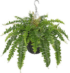 Hollyone 21" Artificial Boston Fern Hanging Basket 31 Leaves Fake Ferns in Rattan Pot Medium Greenery Plants for Outdoors & Indoor Faux Fern Bush Basket Plant Patio Garden Home Decor Green