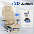 FLEXISPOT ErgoX Premium Ergonomic Office Chair with Footrest- Adjustable 3D Armrests, Dynamic Lumbar Support, Recline & Tilt Function, Mesh Seat, for Home & Office Use,Cream