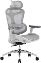 SIHOO Doro C300 Ergonomic Office Chair with Ultra Soft 3D Armrests, Dynamic Lumbar Support for Home Office Chair, Adjustable Backrest Desk Chair, Swivel Big and Tall Computer Chair (Grey)