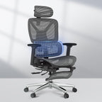 FLEXISPOT ErgoX Premium Ergonomic Office Chair with Footrest- Adjustable 3D Armrests, Dynamic Lumbar Support, Recline & Tilt Function, Mesh Seat, for Home & Office Use,Dark Grey