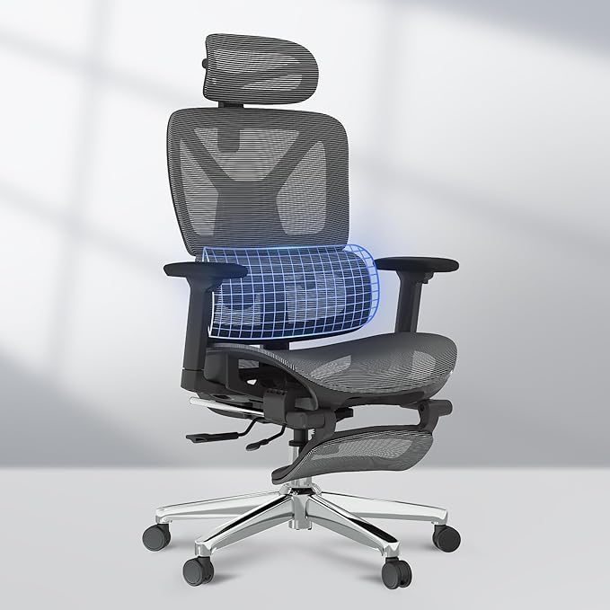 FLEXISPOT ErgoX Premium Ergonomic Office Chair with Footrest- Adjustable 3D Armrests, Dynamic Lumbar Support, Recline & Tilt Function, Mesh Seat, for Home & Office Use,Dark Grey