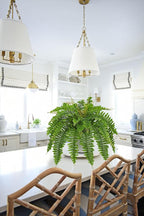 Hollyone Artificial Fern Plants in White Pot 25.5" Medium Artificial Boston Fern 31 Leaves for Outdoors & Indoor Faux Potted Plants Fake Ferns Bush Plant Patio Garden Farmhouse Porch Home Decor Green