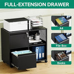 Letaya Mobile File Cabinet, Metal Lateral Rolling Printer Stand Filing Cabinets with Shelves for Home Office-Storage A4/F4/Letter (Black)
