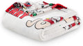 Berkshire Blanket Peanuts VelvetLoft Cute Character Snoopy Plush Throw Blanket,Peanuts Snowy Scene,Throw 55 in x 70 in (Official Peanuts® Product)