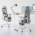 FLEXISPOT ErgoX Premium Ergonomic Office Chair with Footrest- Adjustable 3D Armrests, Dynamic Lumbar Support, Recline & Tilt Function, Mesh Seat, for Home & Office Use,Foam Grey