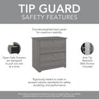 Bush Furniture Cabot 2 Drawer Lateral File Cabinet in Modern Gray, Home Office Chest for Letter, Legal, and A4-Size Document Storage