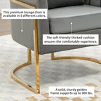 Velvet Modern Accent Chairs Set of 2, Upholstered Barrel Armchair Mid Century with Pillow for Living Room, Comfy Single Vanity Chair with Metal Gold Legs for Bedroom, Grey