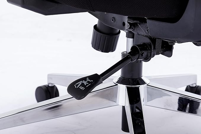 Chair Master Ergonomic High Back Mesh Office Chair, 3D Armrest, Adjustable Headrest, Variable Tilt (Nylon Casters)