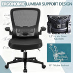 Desk Chairs with Wheels, Ergonomic Mesh Office Chair Adjustable Height and Swivel Lumbar Support Home Office Chair with Flip Up Armrests (1PK)