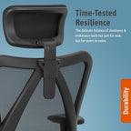 Duramont Ergonomic Office Chair - Adjustable Desk Chair with Lumbar Support and Rollerblade Wheels - High Back Chairs with Breathable Mesh - Thick Seat Cushion, Head, and Arm Rests - Reclines